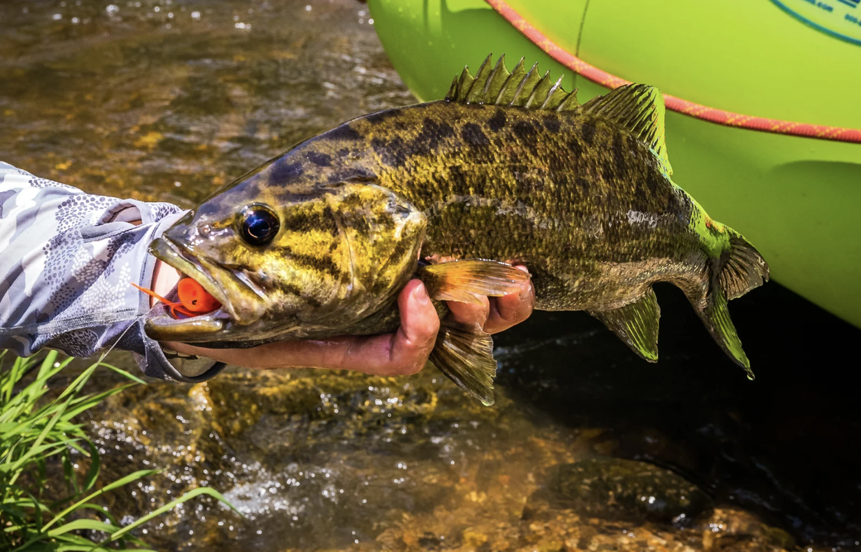 Float Trip for Smallmouth